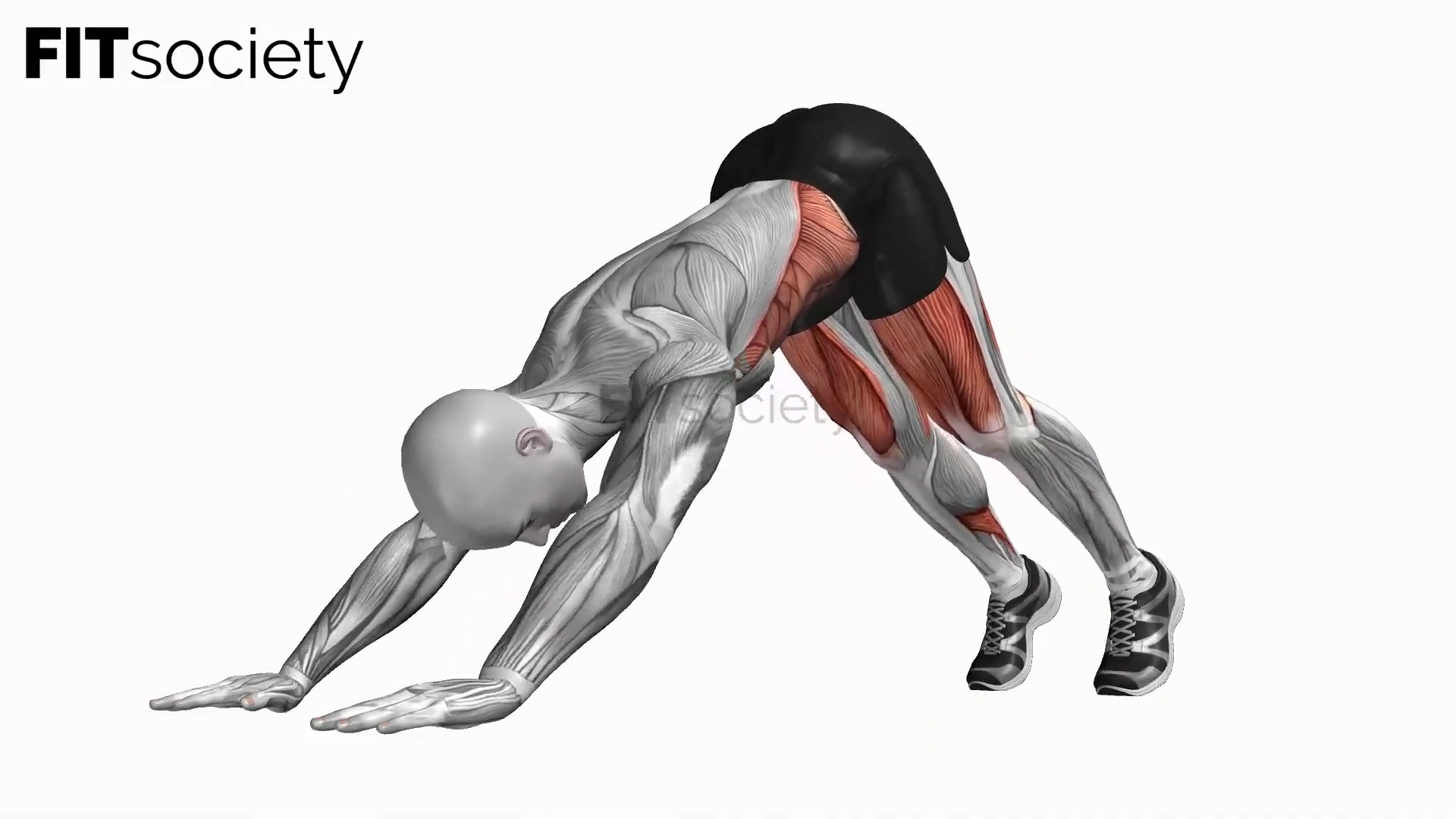 Pike Push-up