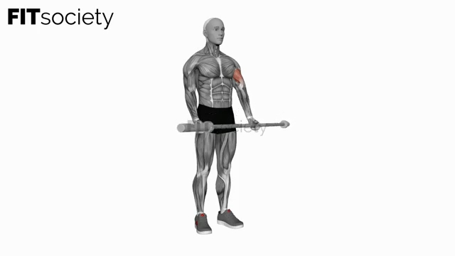 Barbell Single-Arm Biceps Curl