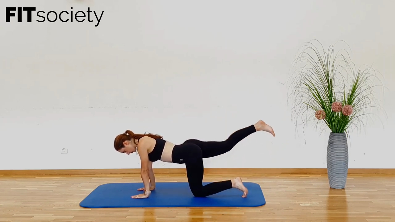 Quadruped Leg Extension