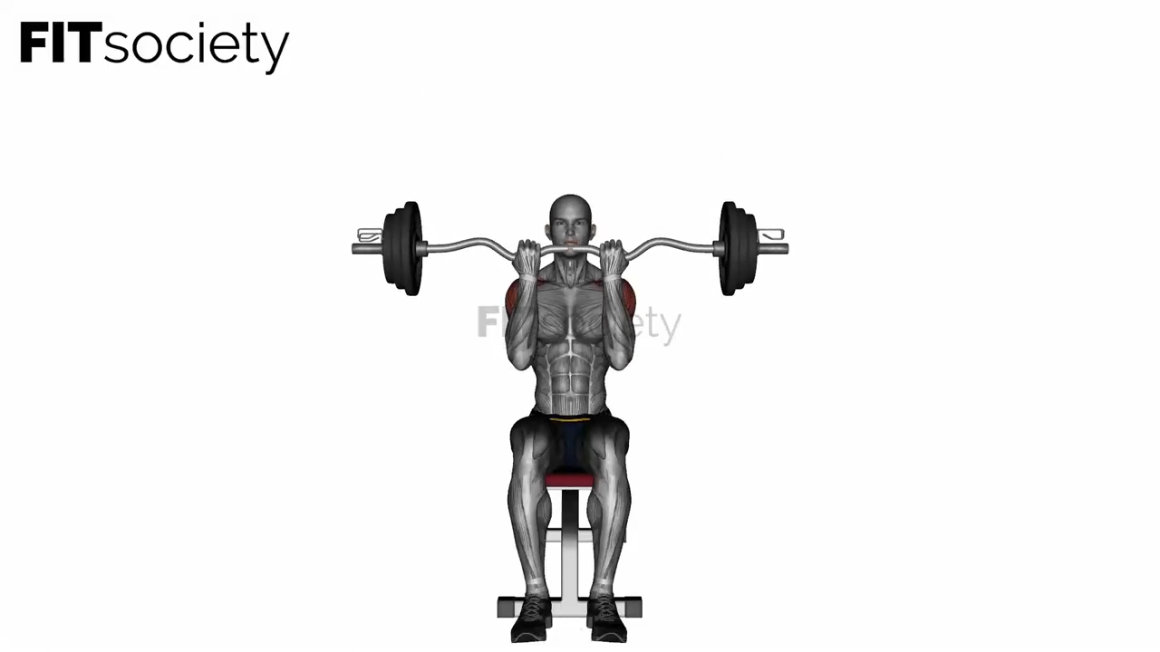 Ez Bar Seated Close Grip Shoulder Press