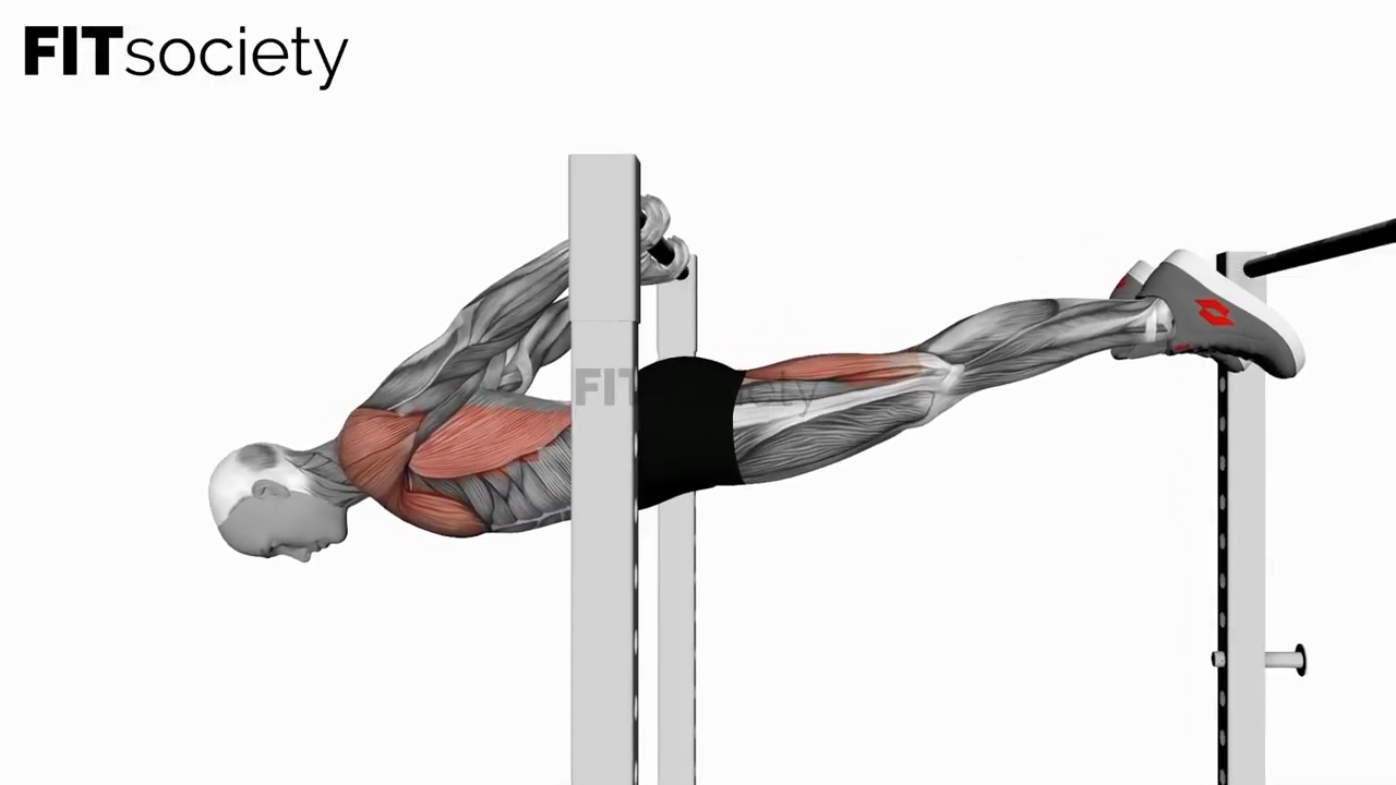 Back Lever