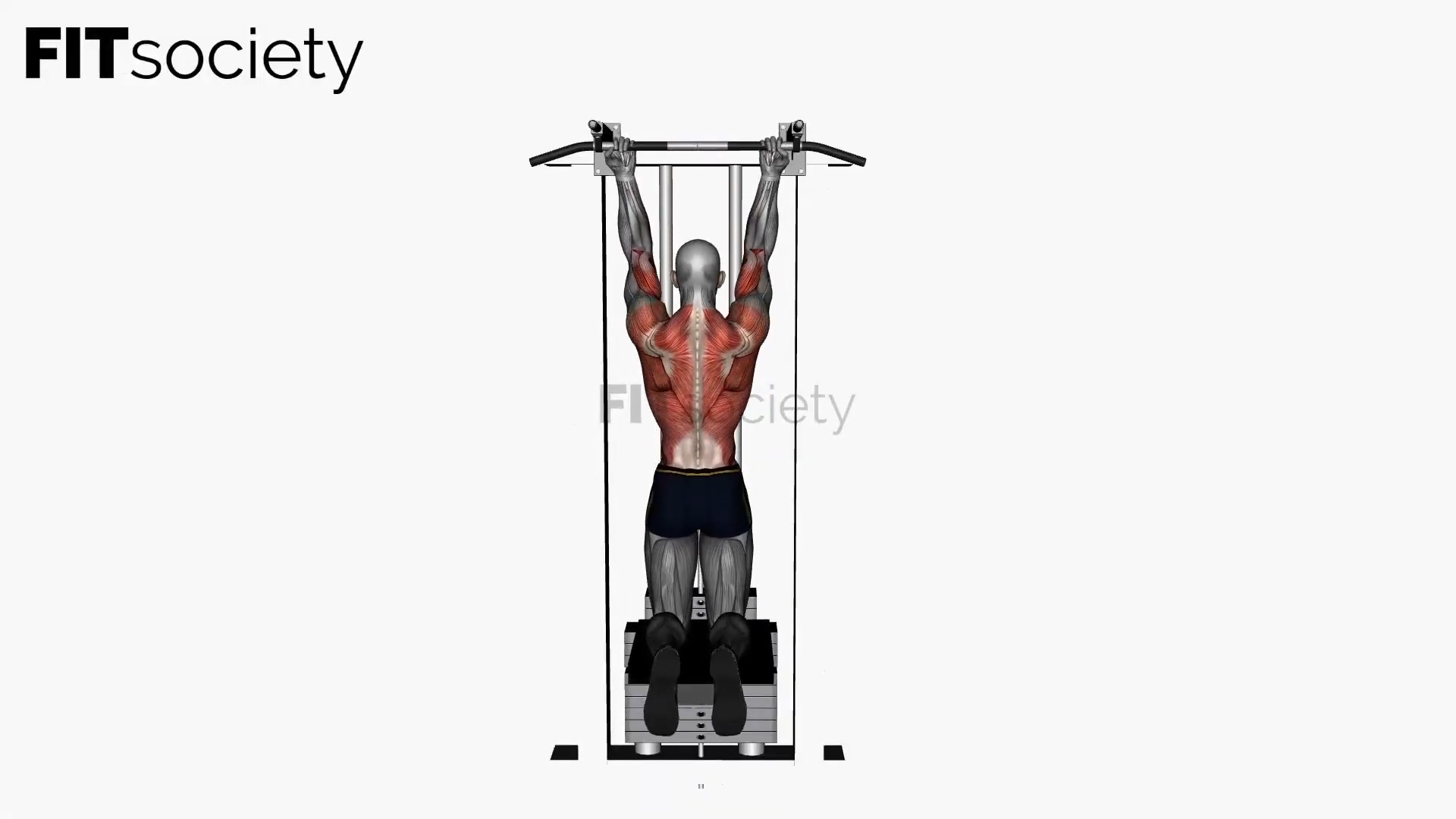 Assisted Chin-Up Reverse Wide Grip