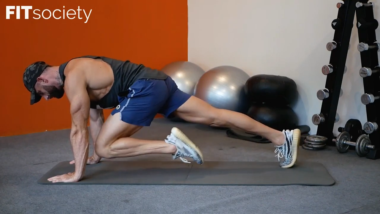 Plank Hip Flexion & Extension
