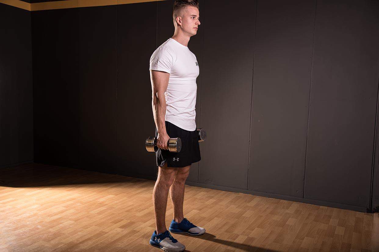 Curl des biceps avec haltères
