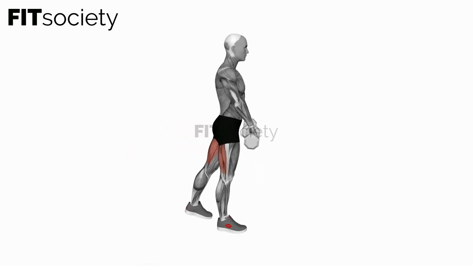 Dumbbell Single-Leg Deadlift