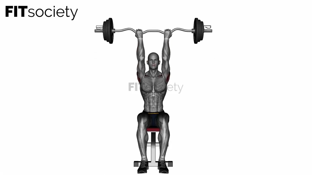 Ez Bar Seated Close Grip Shoulder Press