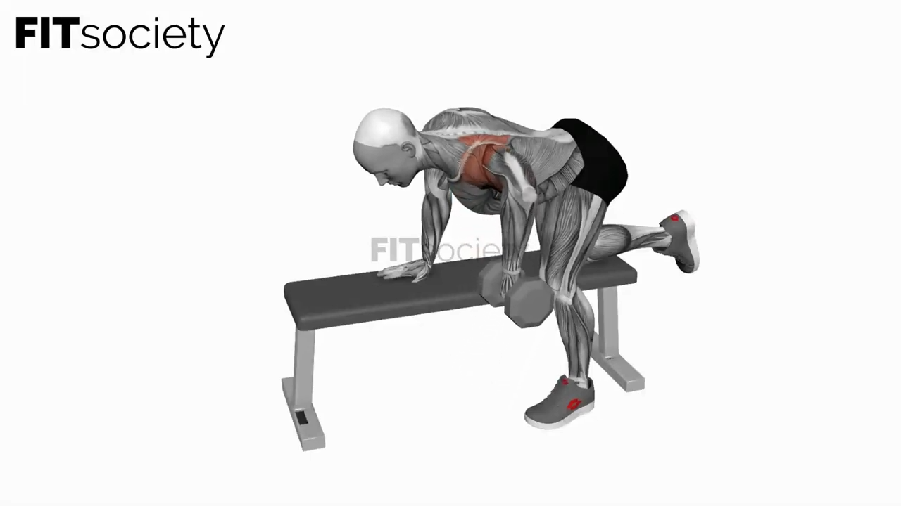 Dumbbell Pullover Hip Extension on Exercise Ball