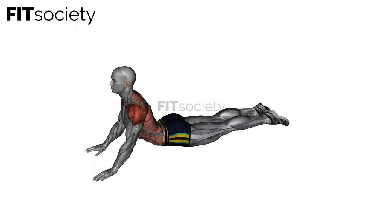 Lying (Prone) Abdominal Stretch