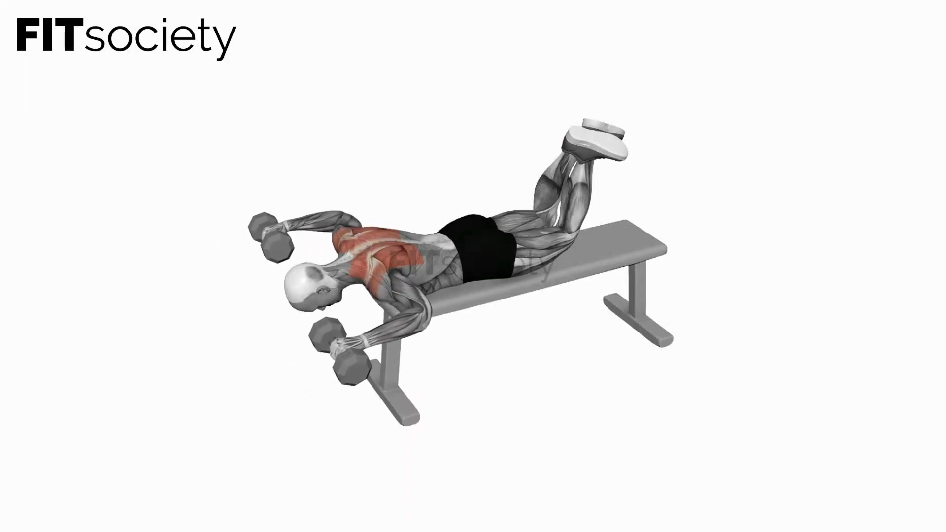 Dumbbell Face Down Lying Shoulder Press