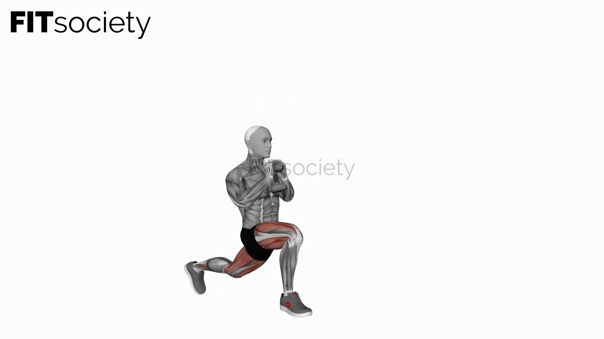 Dumbbell Goblet Curtsy Lunge