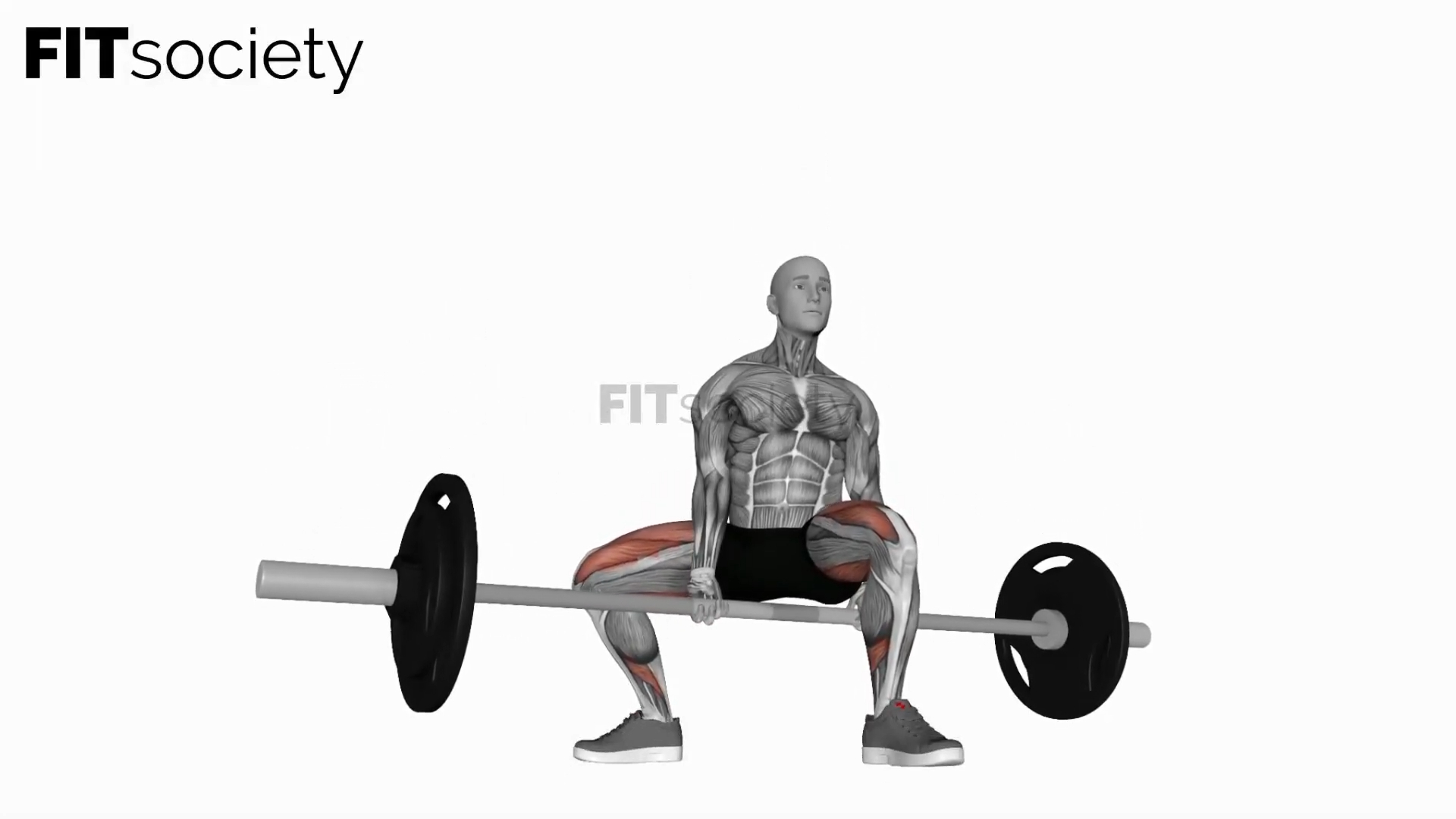 Barbell Jefferson Squat
