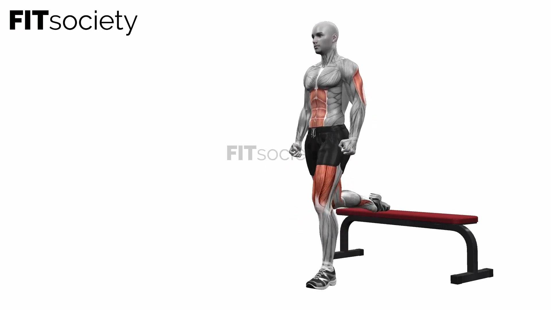 Bench Bulgarian Split Squats Left
