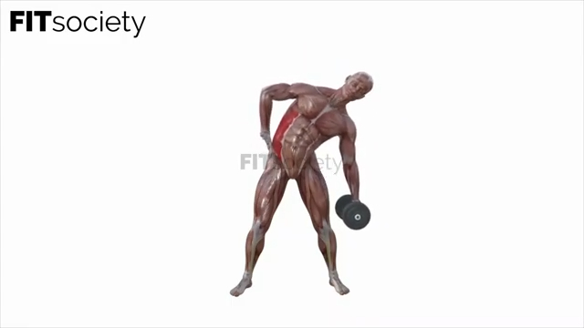 Dumbbell Side Bends