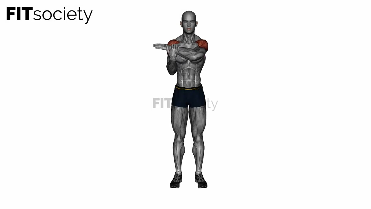 Rear Deltoid Stretch