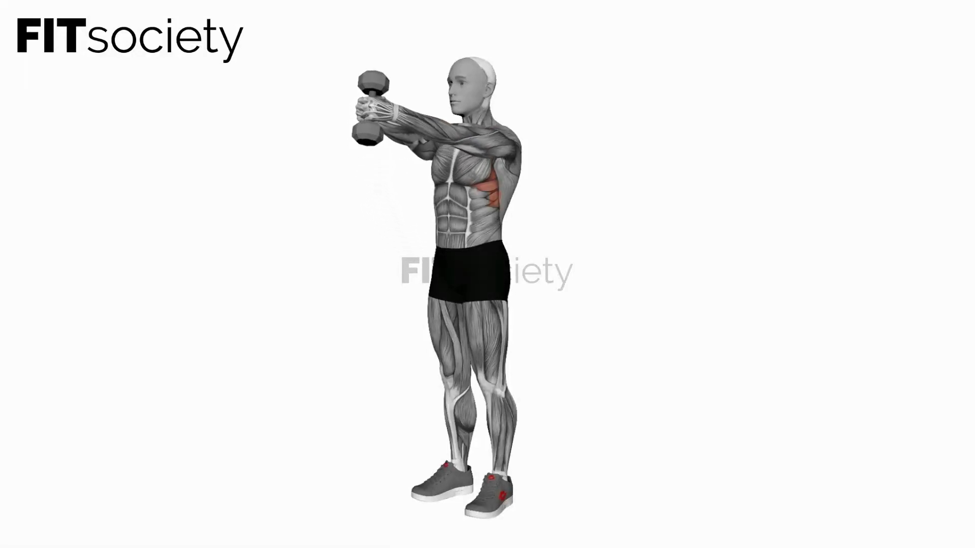 Dumbbell Front Raise (Version 2)