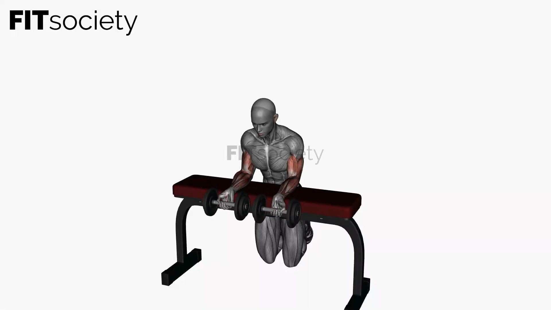 Wrist Curl Dumbbell
