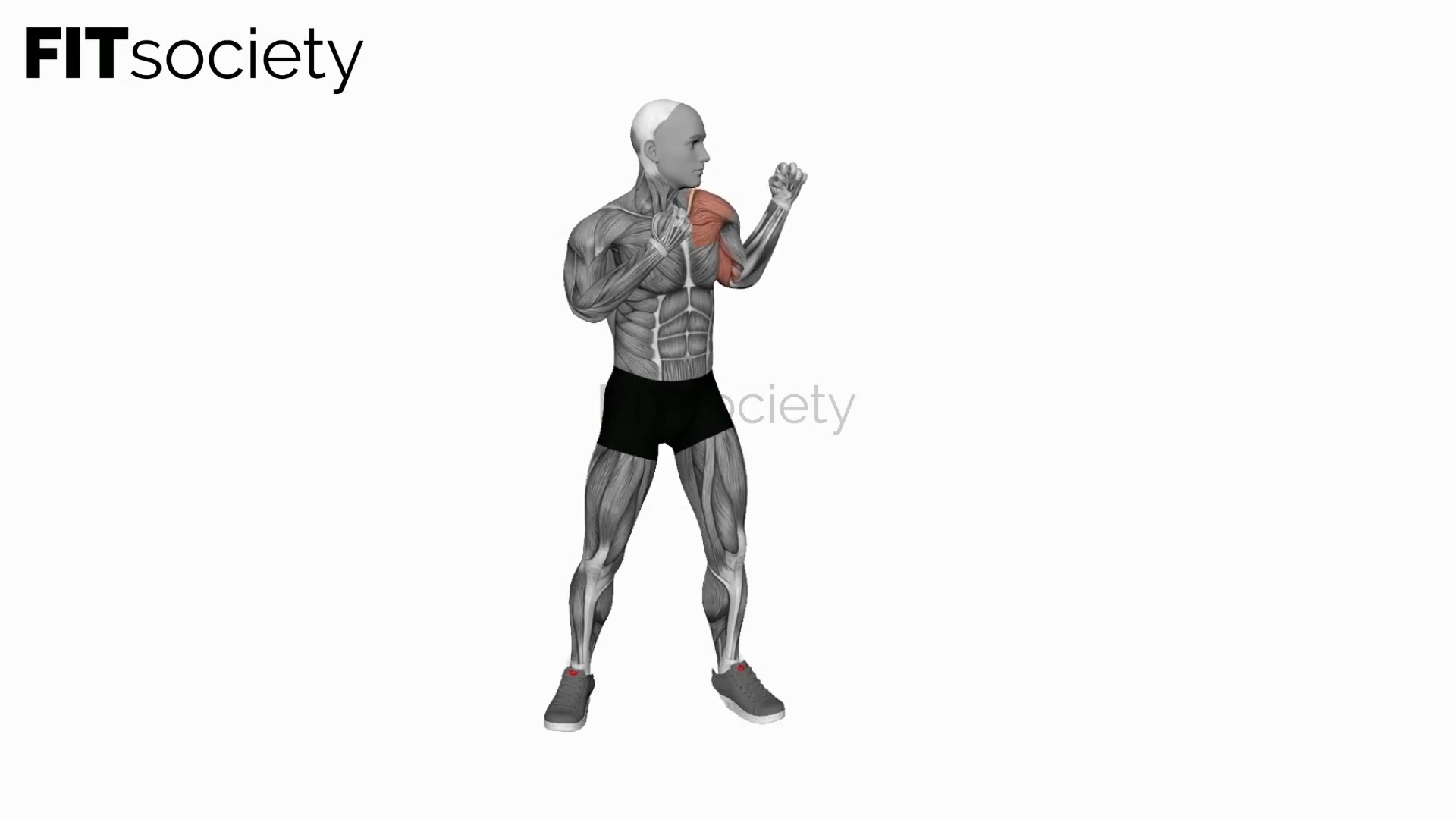 Jab de boxe