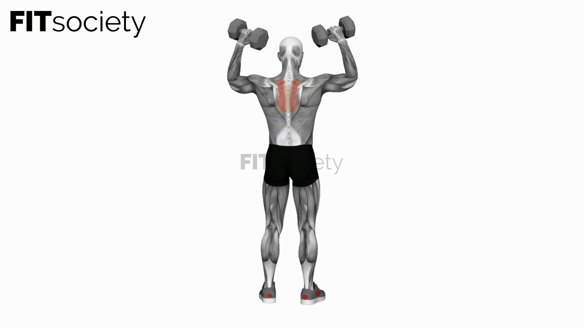 Dumbbell Scott Press (360 Degrees)