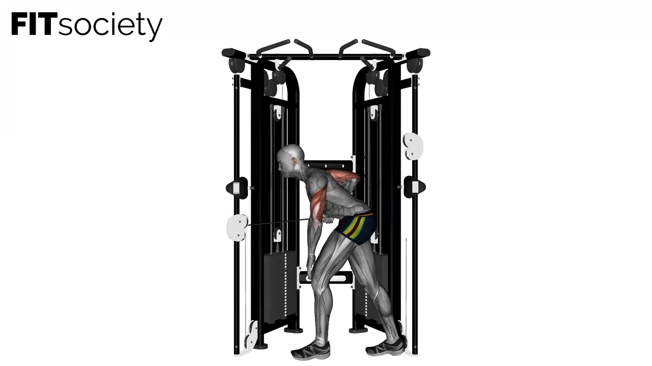 Tricep Cable Kickback On Crossover Machine