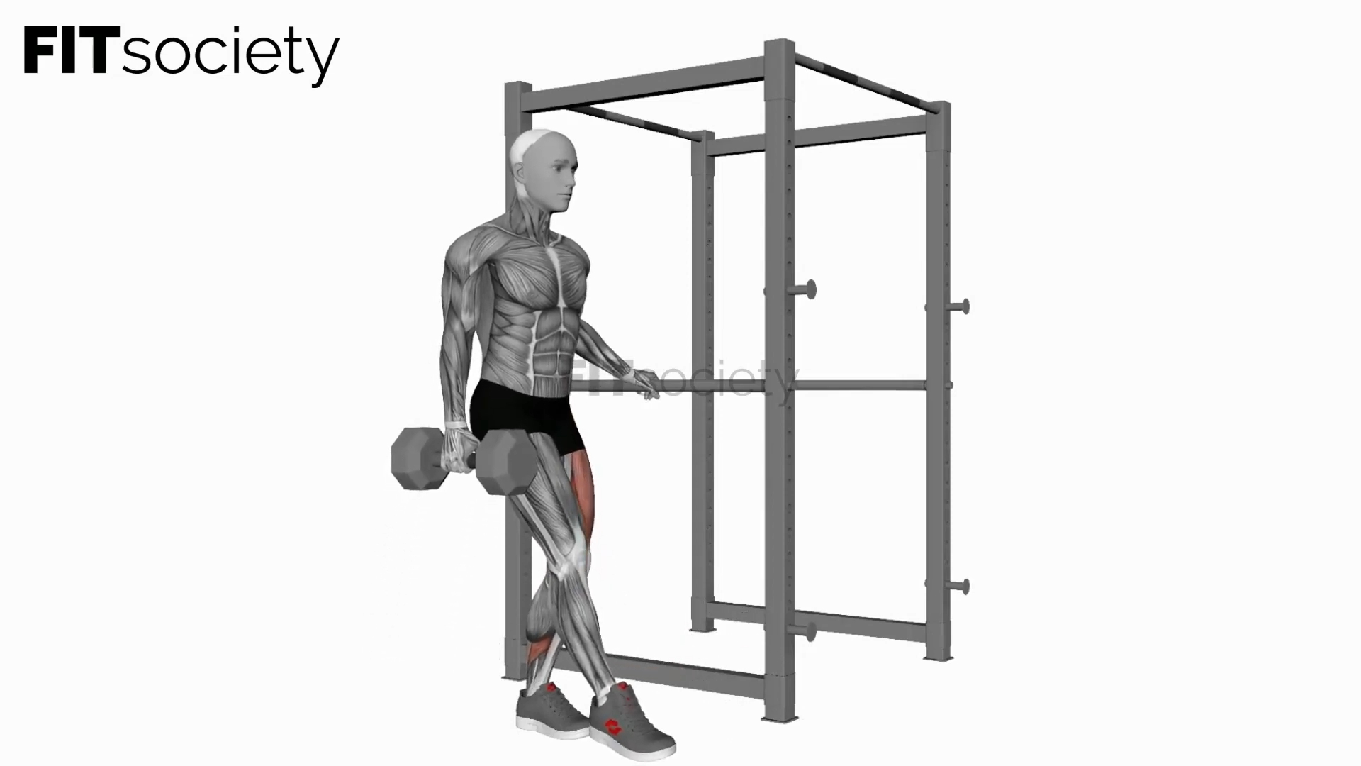 Dumbbell Single Leg Squat With Support (Pistol)