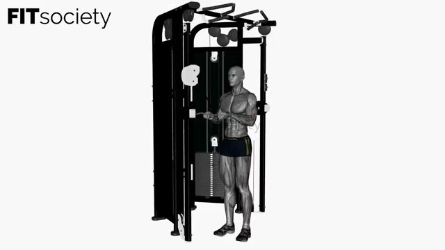 Cable Triceps Push Down Ez Bar Close Grip