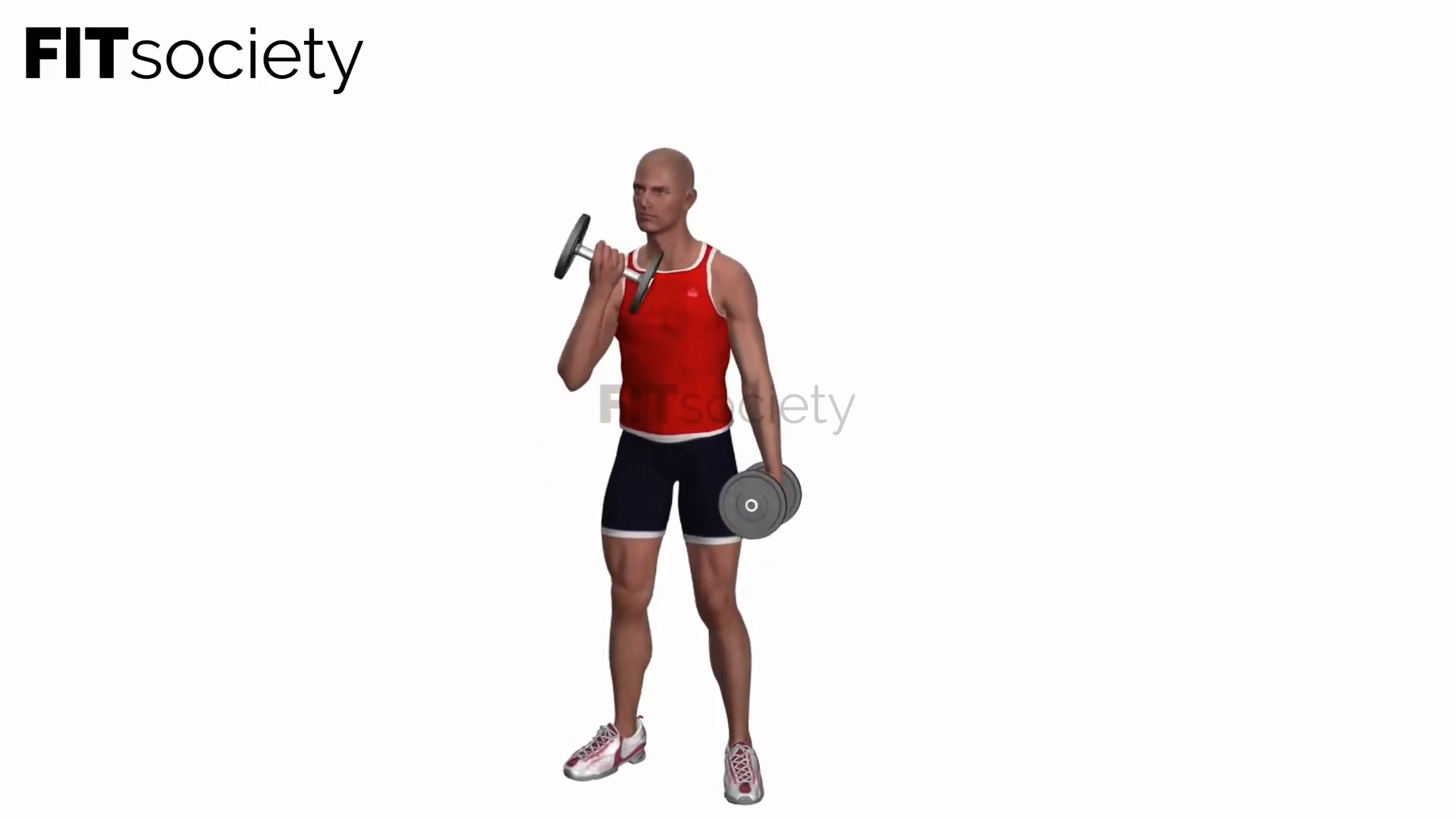 Bicep Curls Alternating