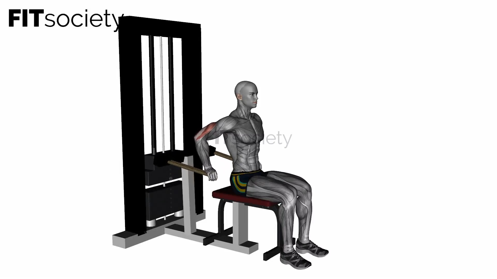 Machine à dips pour triceps