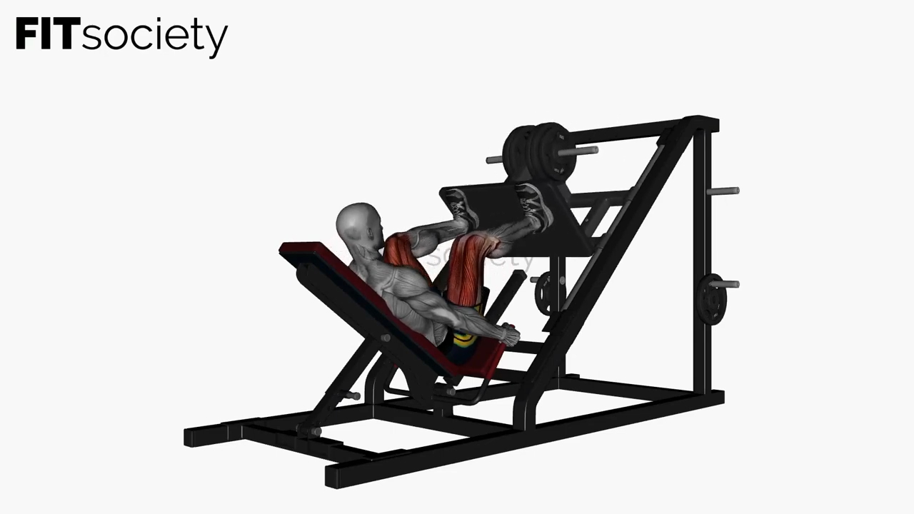Leg Press Wide High Stance Behind View