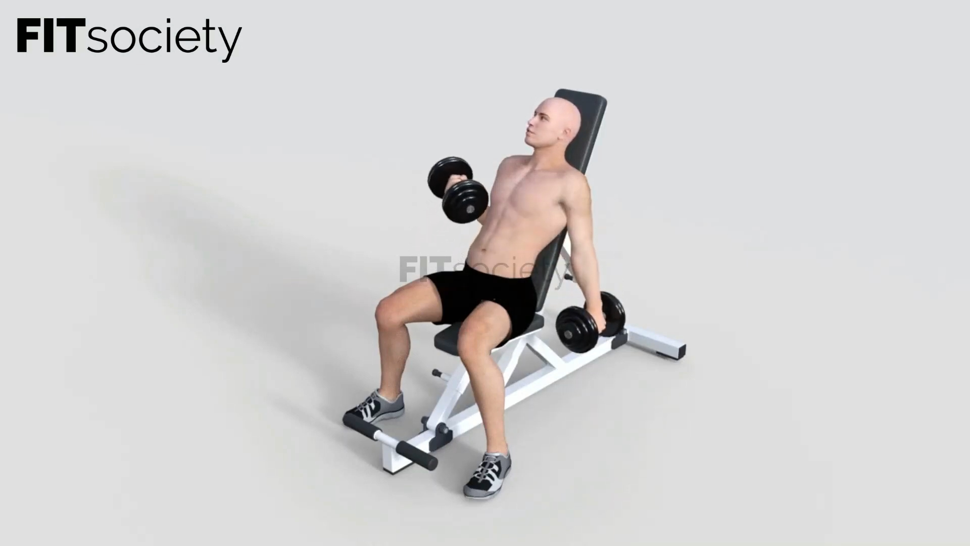 Alternating Incline Dumbbell Curls