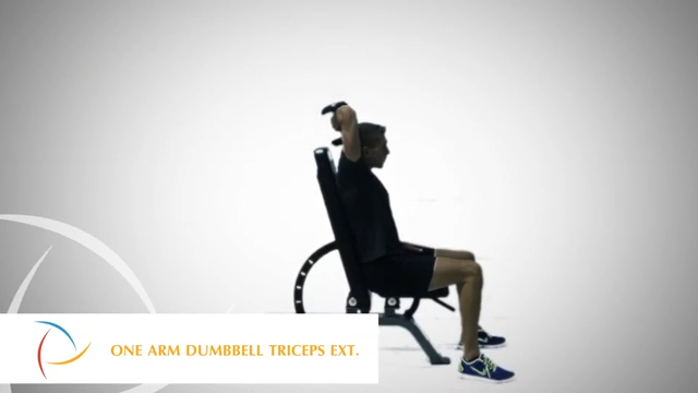 One Arm Dumbbell Triceps Extension