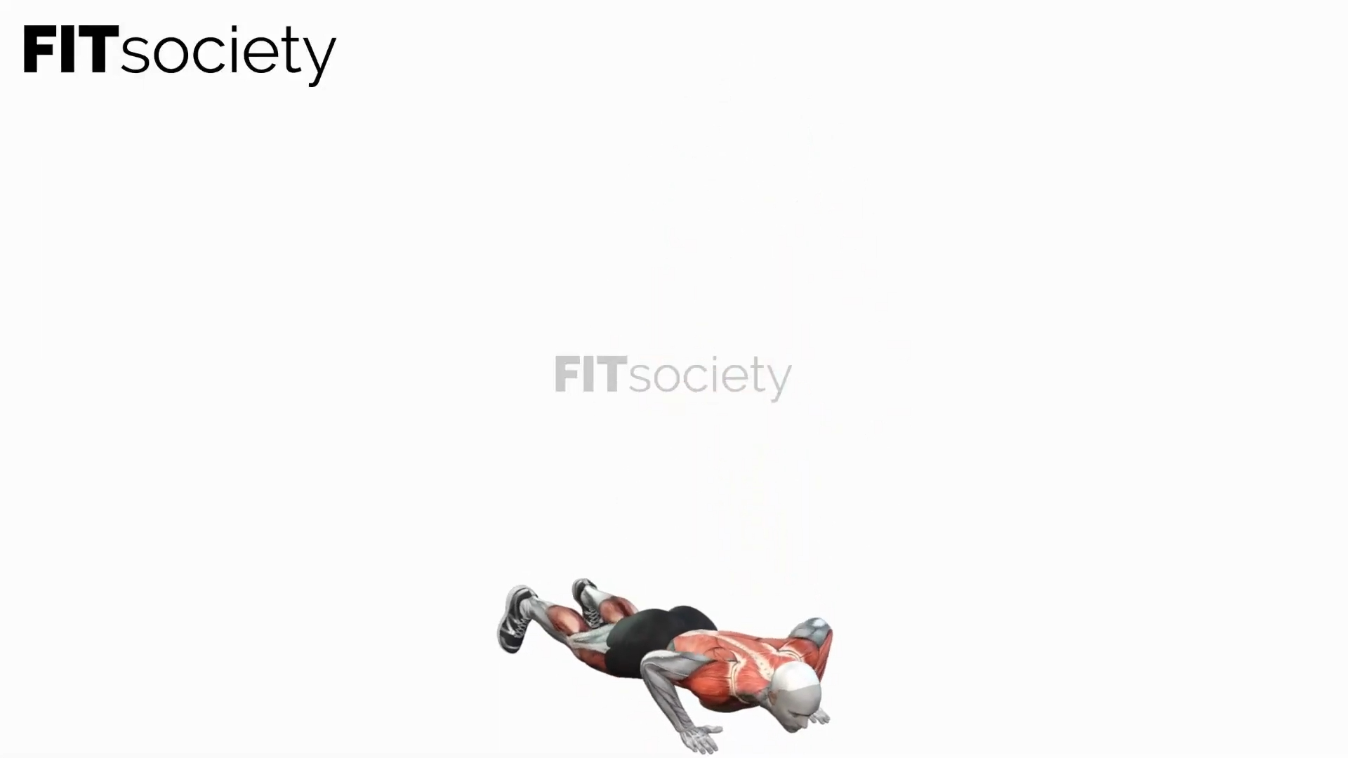 Burpee