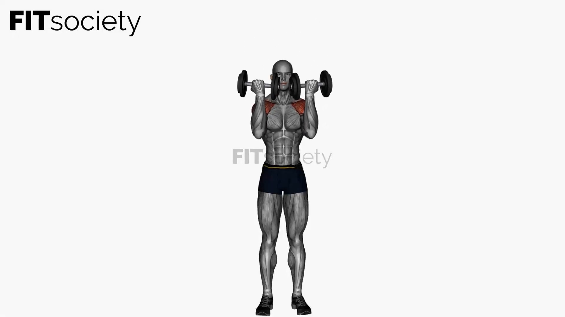 Standing Dumbbell Arnold Press