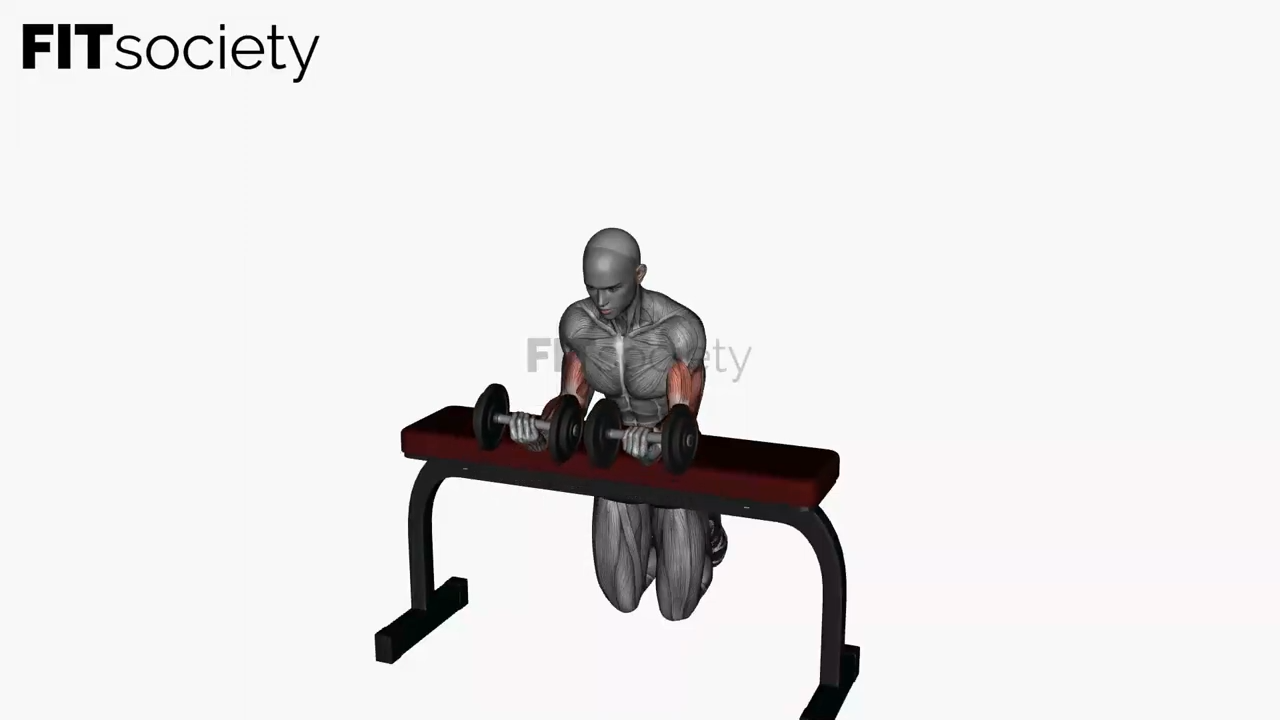 Wrist Curl Dumbbell