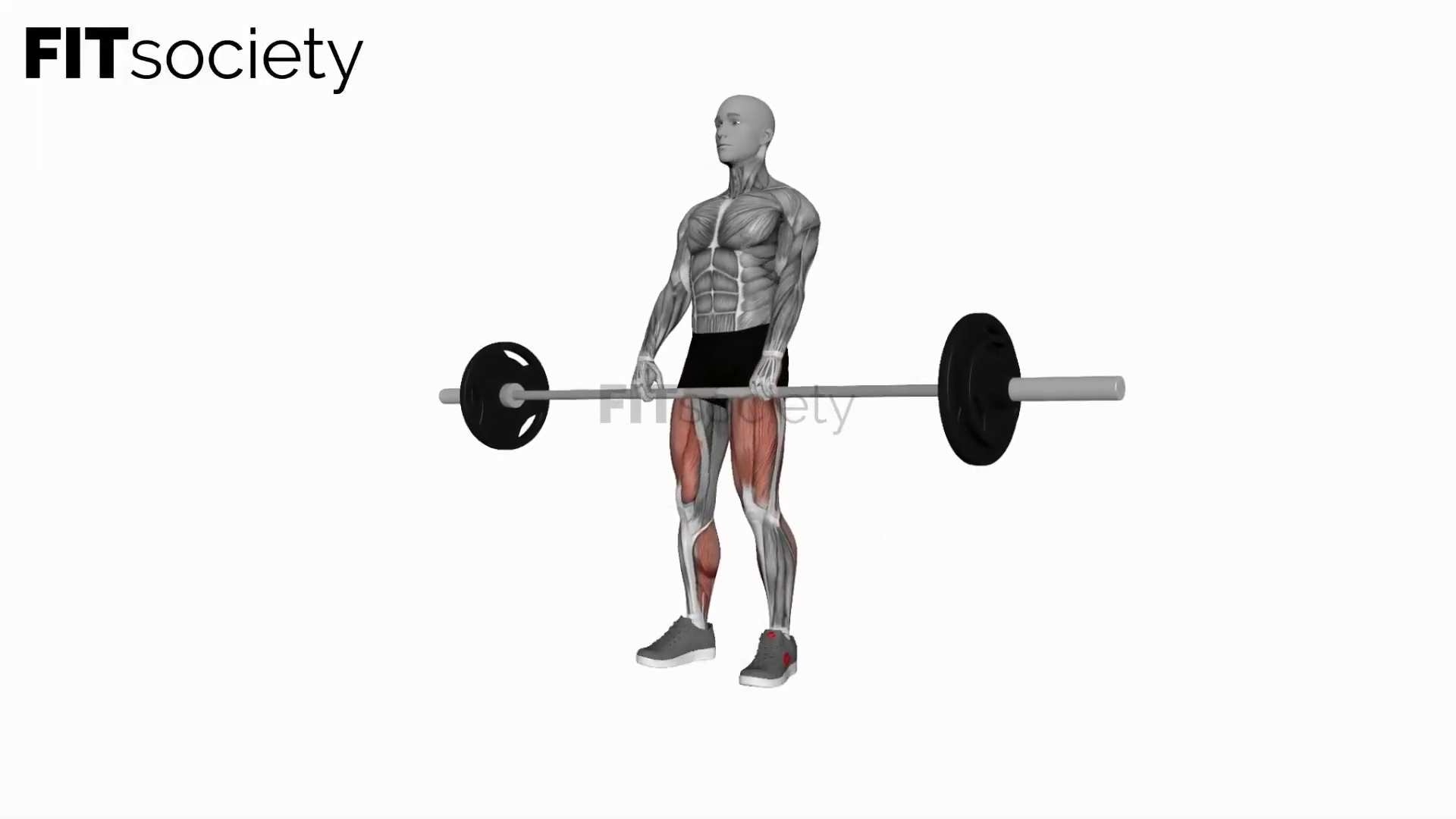 Barbell Deadlift
