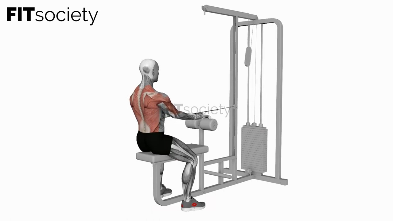 Cable Seated Supine-Grip Row