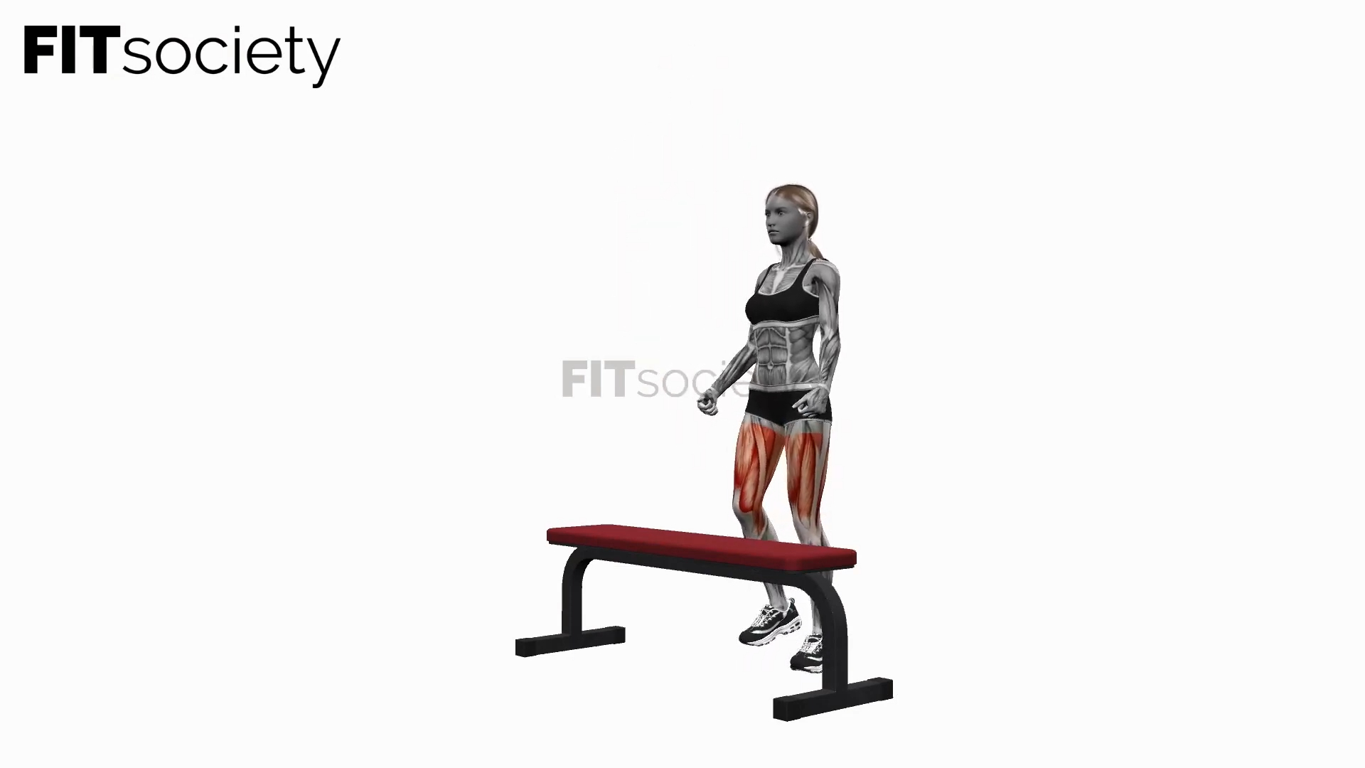 Bench Alternating Step Ups