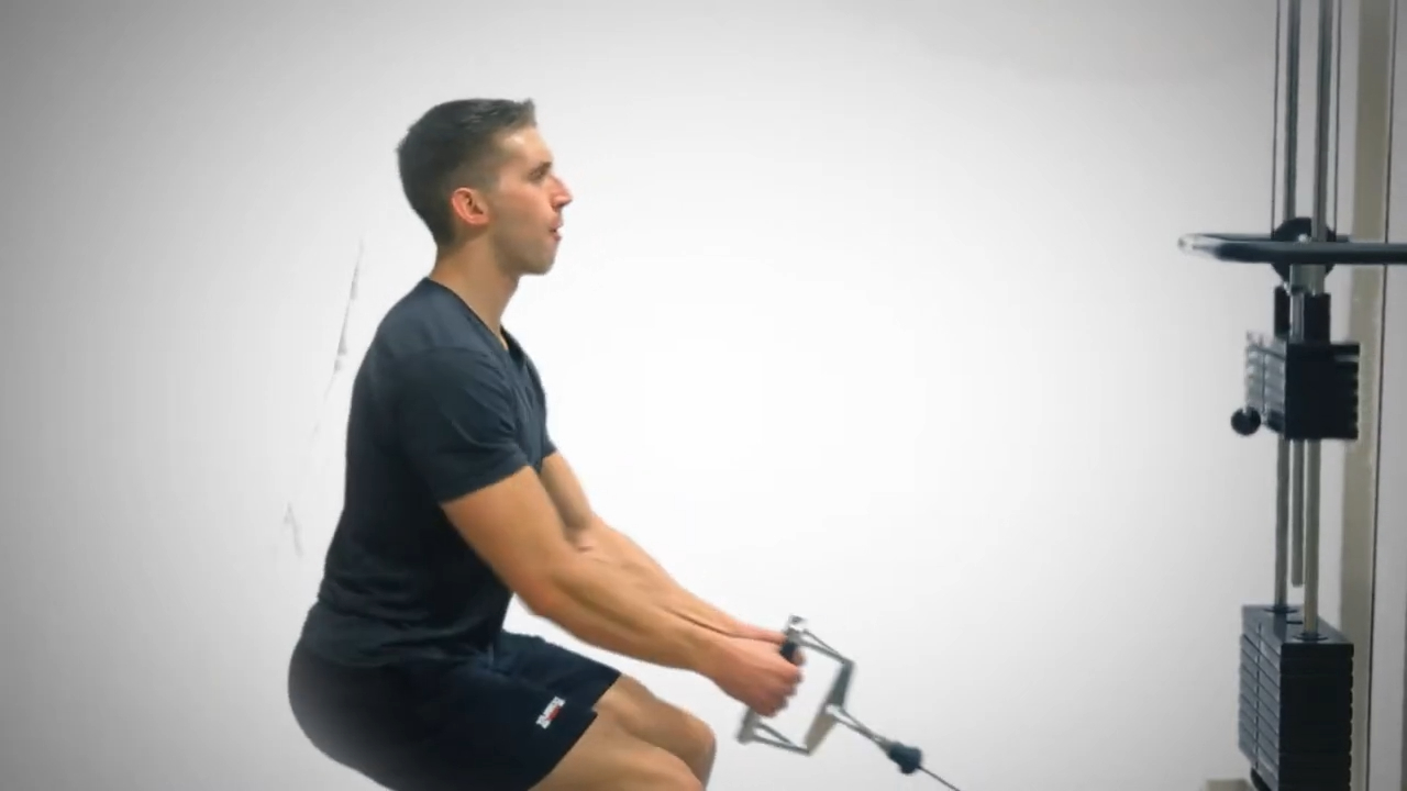 Standing Cable Row