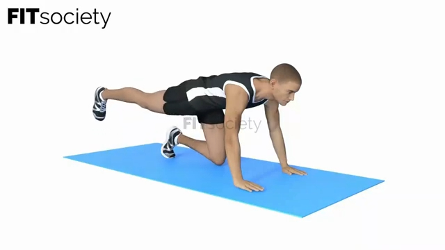 Donkey Kicks