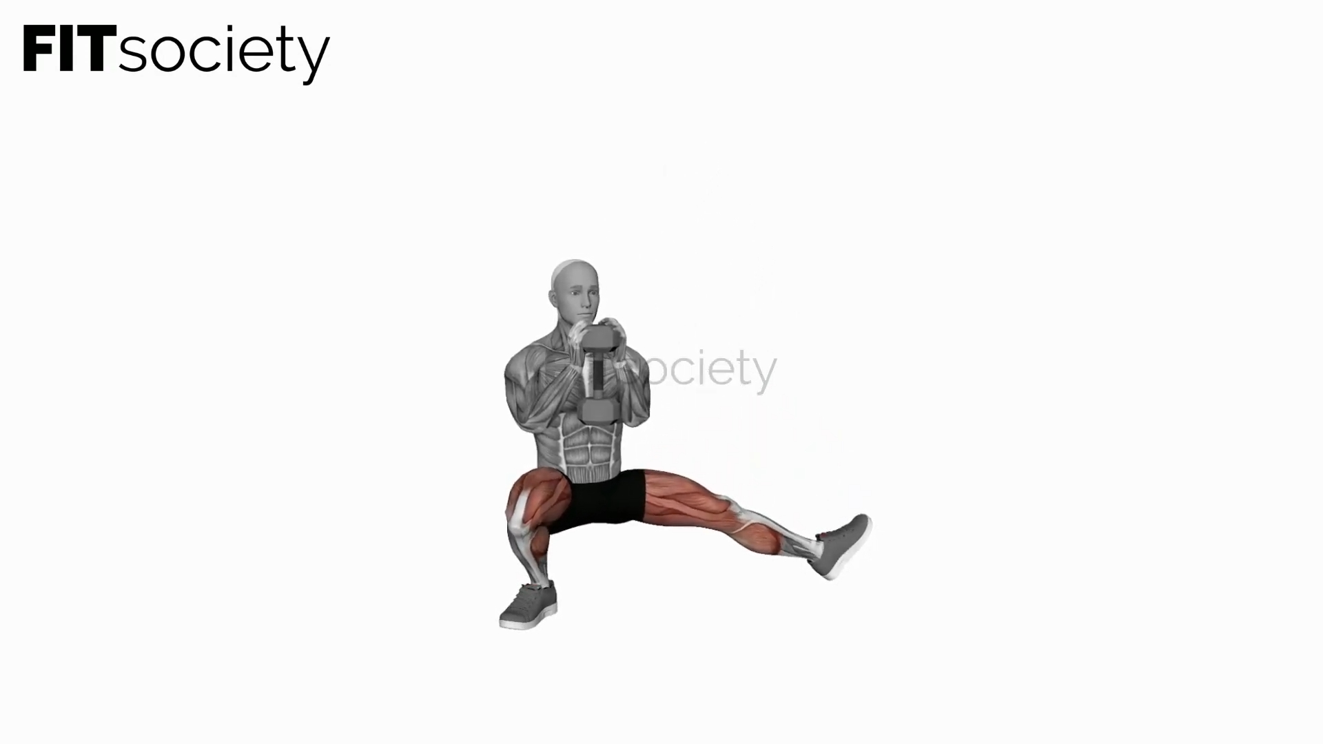 Dumbbell Cossack Squats (Version 2)