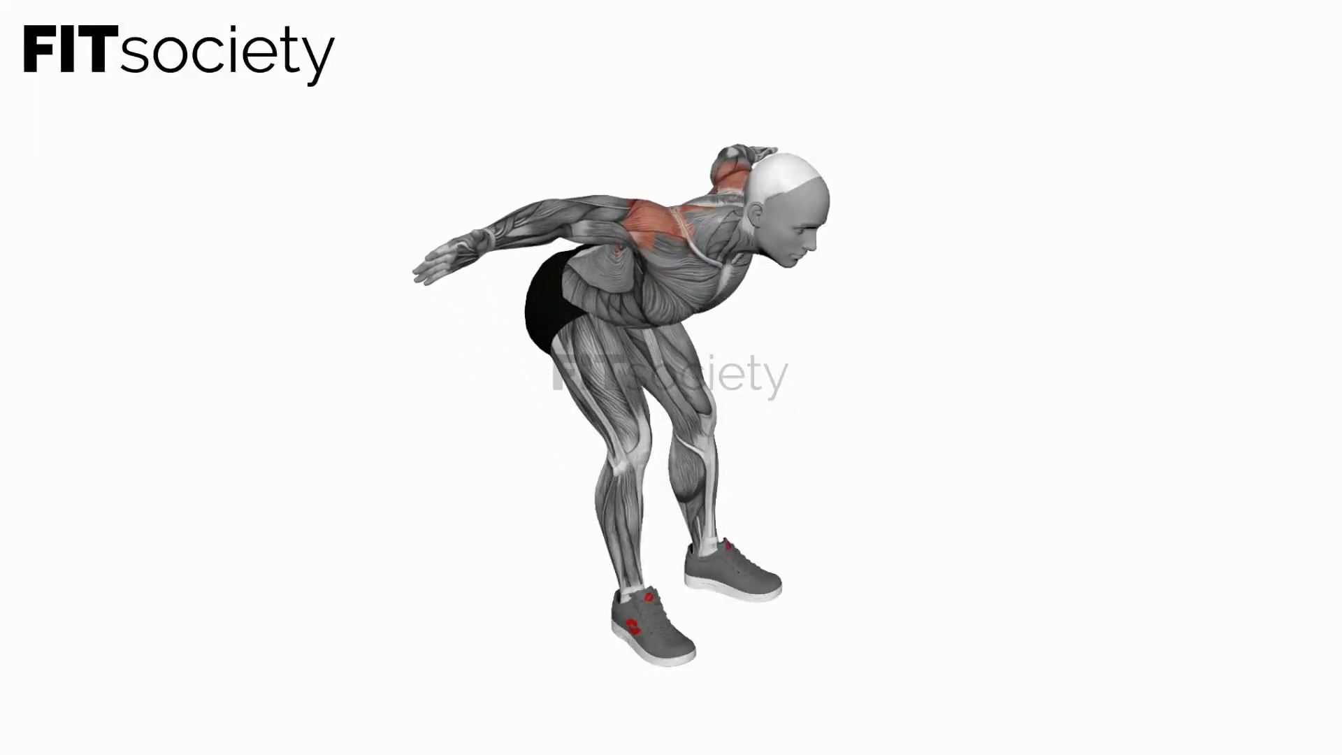 Bodyweight Bent Over Rear Delt Fly