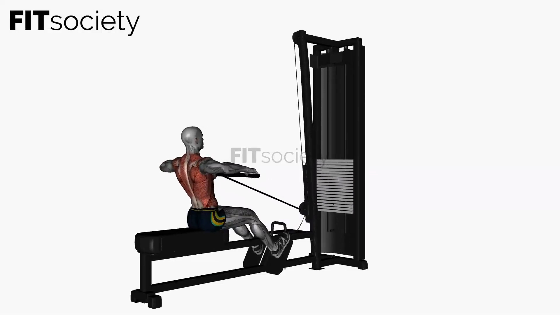 Straight Bar Cable Row Normal Grip