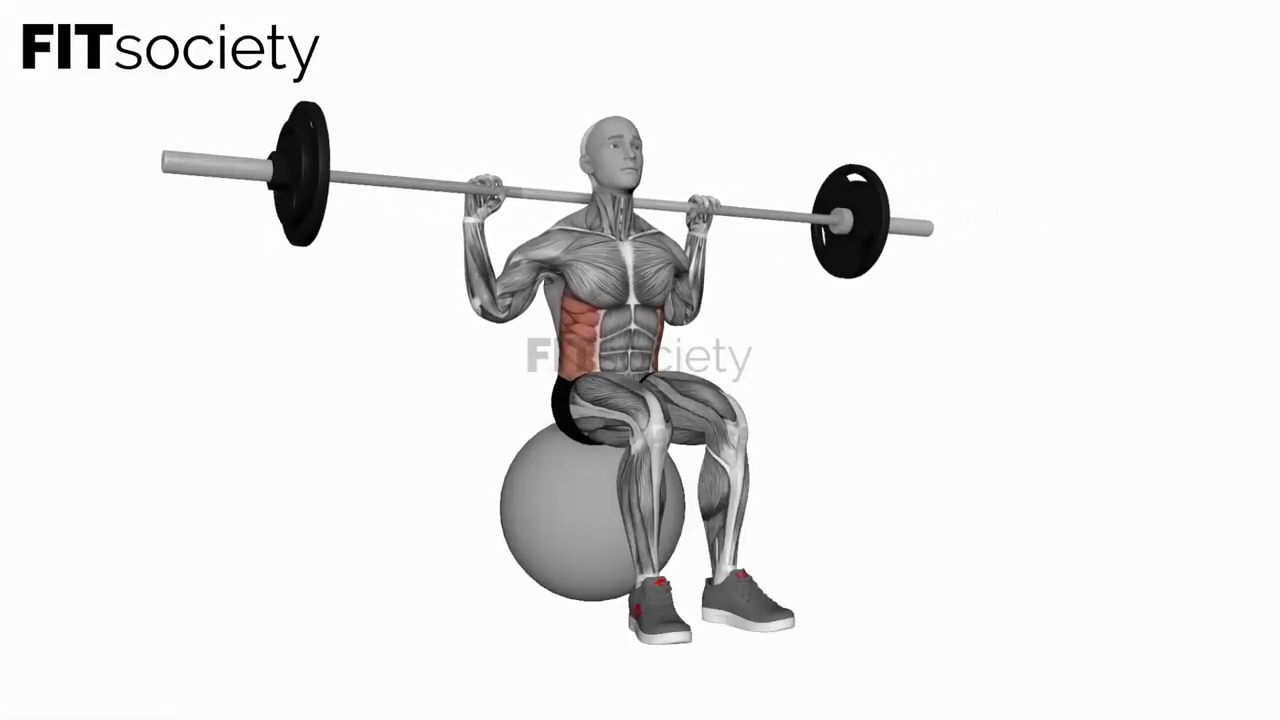 Barbell Seated Twist On Exercise Ball