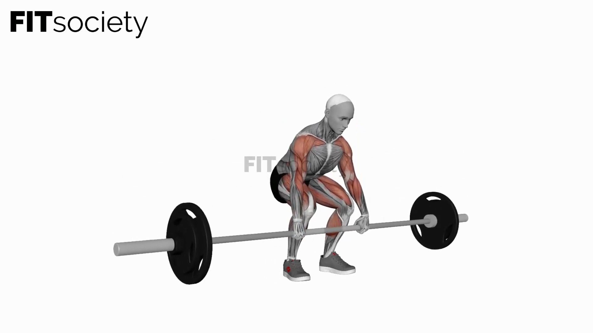 Clean Pull mit Langhantel