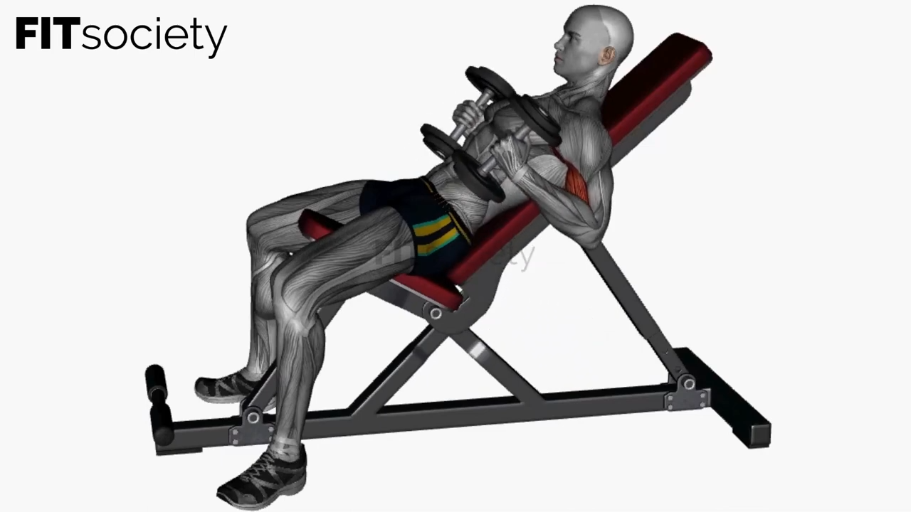 Incline Bench Hammer Curls