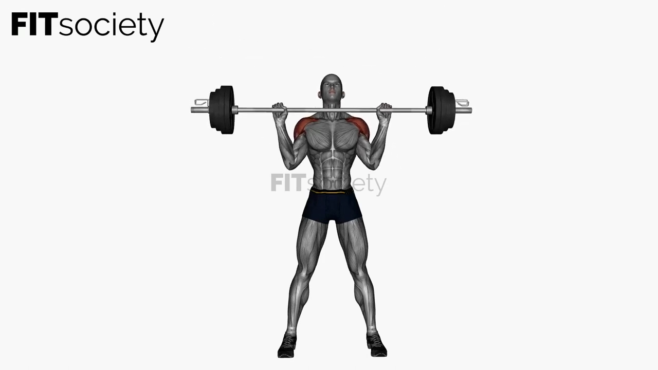Standing Shoulder Press Barbell