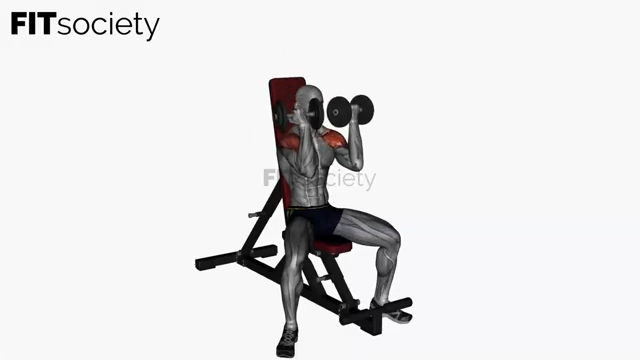 Arnold Press Dumbbell