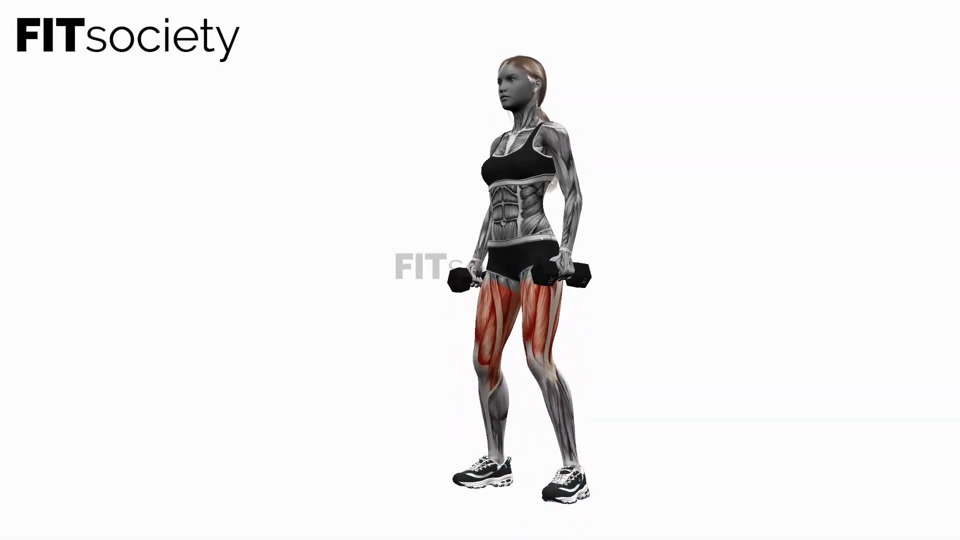 Squats avec haltères