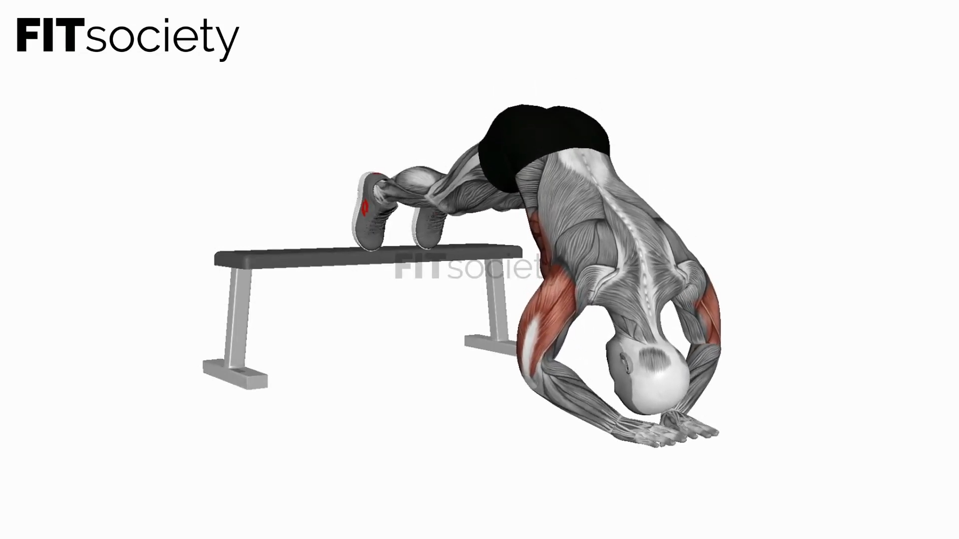Decline Diamond Pike Push-Up