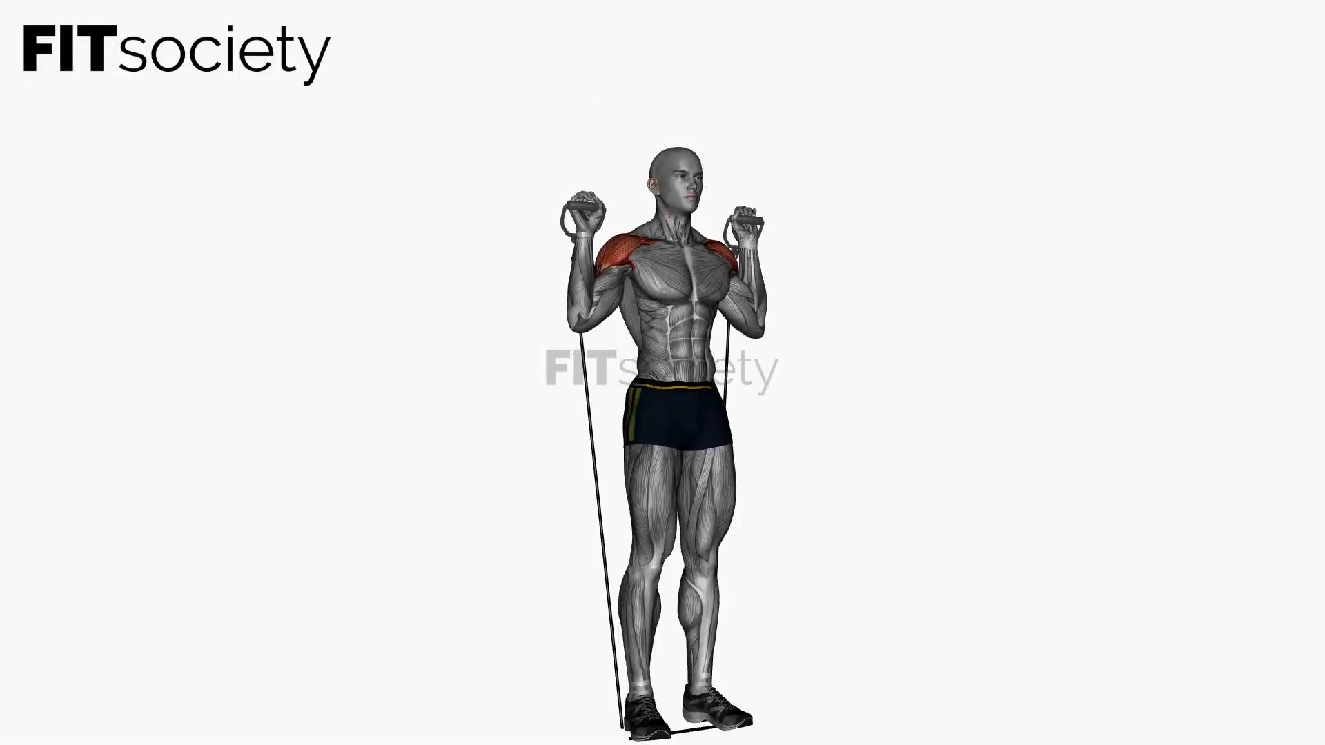 Behind Neck Press Resistance Band Cable