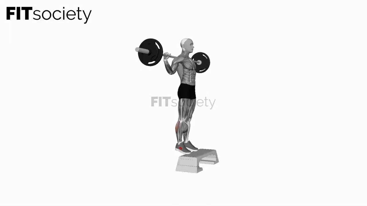 Barbell Standing Leg Calf Raises